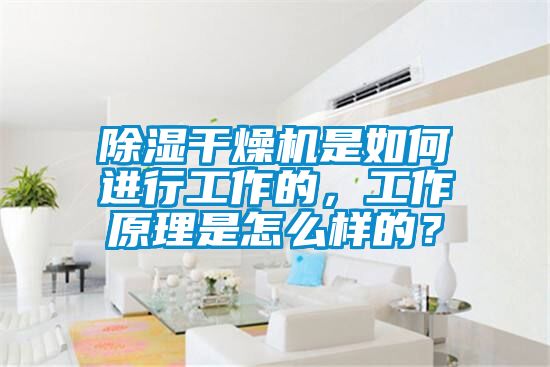 除濕干燥機是如何進行工作的，工作原理是怎么樣的？