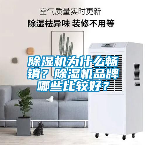 除濕機(jī)為什么暢銷(xiāo)？除濕機(jī)品牌哪些比較好？