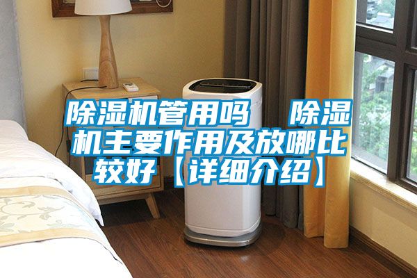 除濕機管用嗎  除濕機主要作用及放哪比較好【詳細介紹】