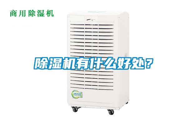 除濕機(jī)有什么好處？