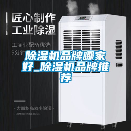 除濕機(jī)品牌哪家好_除濕機(jī)品牌推薦