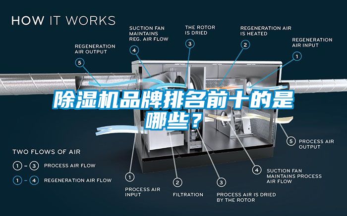 除濕機品牌排名前十的是哪些？