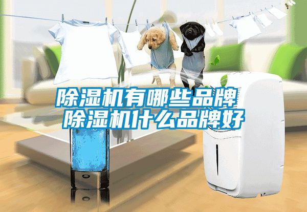 除濕機(jī)有哪些品牌 除濕機(jī)什么品牌好