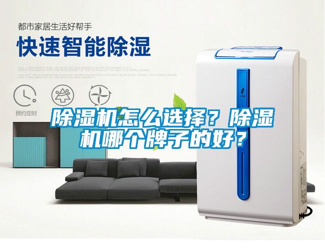 除濕機怎么選擇？除濕機哪個牌子的好？