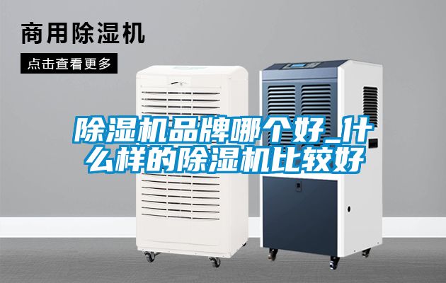 除濕機(jī)品牌哪個(gè)好_什么樣的除濕機(jī)比較好