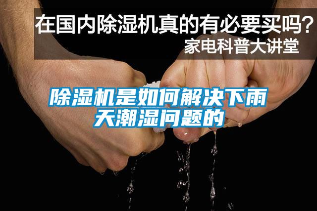 除濕機是如何解決下雨天潮濕問題的