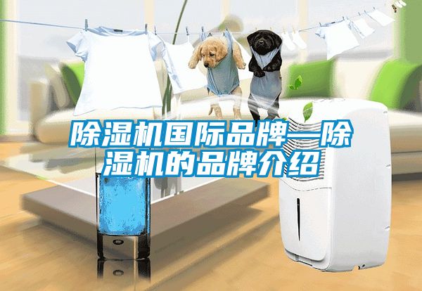 除濕機國際品牌—除濕機的品牌介紹