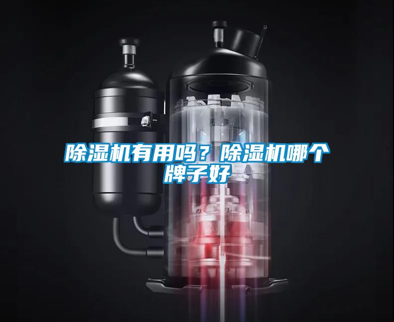 除濕機有用嗎？除濕機哪個牌子好