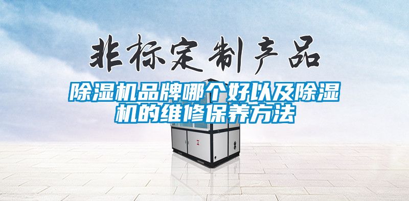 除濕機(jī)品牌哪個(gè)好以及除濕機(jī)的維修保養(yǎng)方法