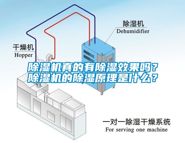 除濕機(jī)真的有除濕效果嗎？除濕機(jī)的除濕原理是什么？