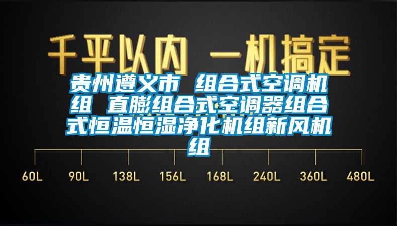 貴州遵義市 組合式空調(diào)機組 直膨組合式空調(diào)器組合式恒溫恒濕凈化機組新風(fēng)機組