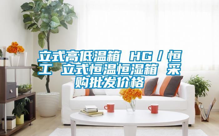 立式高低溫箱 HG／恒工 立式恒溫恒濕箱 采購批發(fā)價格