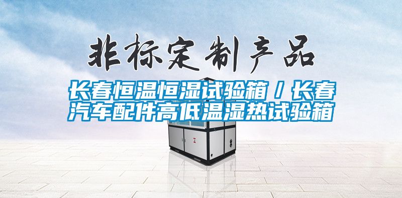 長春恒溫恒濕試驗箱／長春汽車配件高低溫濕熱試驗箱