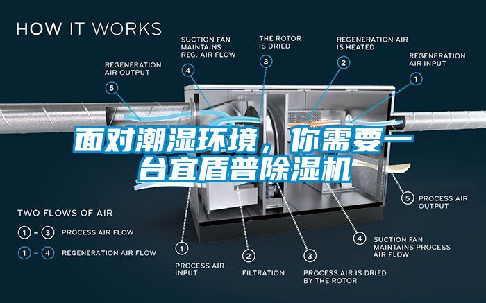 面對(duì)潮濕環(huán)境，你需要一臺(tái)宜盾普除濕機(jī)