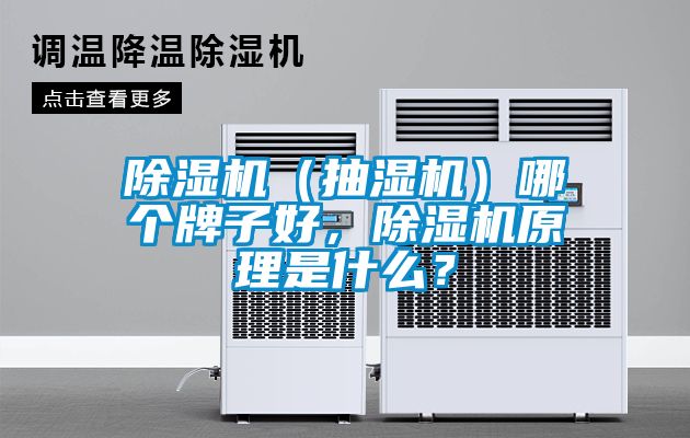 除濕機（抽濕機）哪個牌子好，除濕機原理是什么？