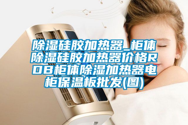 除濕硅膠加熱器_柜體除濕硅膠加熱器價格RDB柜體除濕加熱器電柜保溫板批發(fā)(圖)