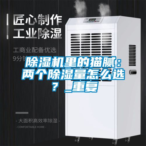 除濕機(jī)里的貓膩：兩個除濕量怎么選？_重復(fù)